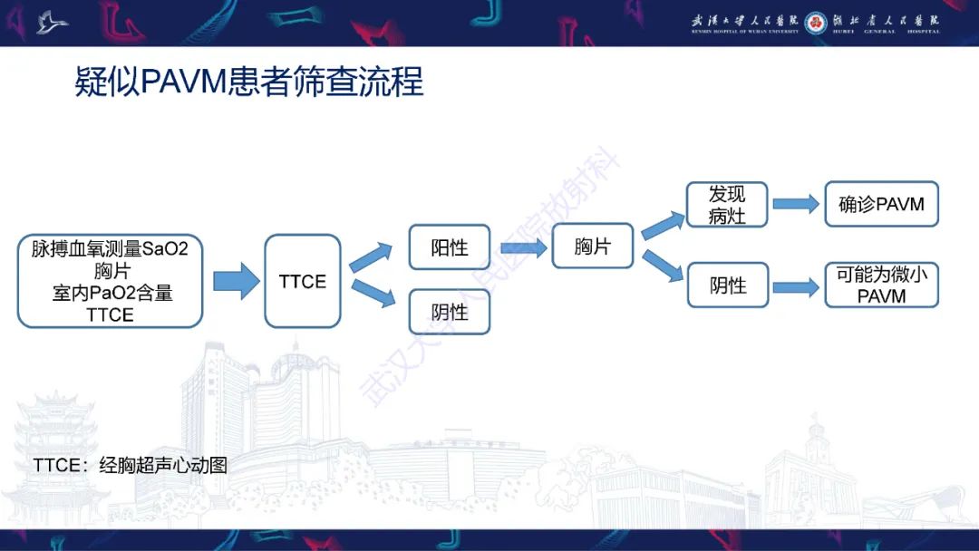 影像PPT - 【PPT】肺动静脉畸形CT诊断-12