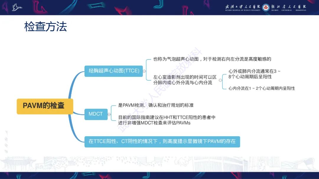 影像PPT - 【PPT】肺动静脉畸形CT诊断-13