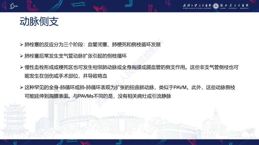 影像PPT - 【PPT】肺动静脉畸形CT诊断-27