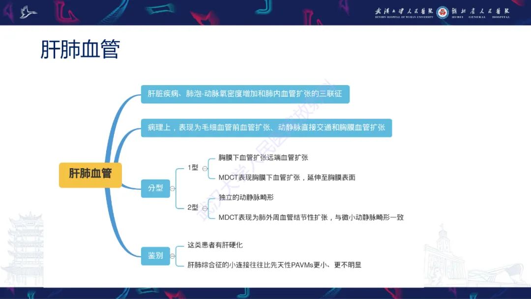 影像PPT - 【PPT】肺动静脉畸形CT诊断-31