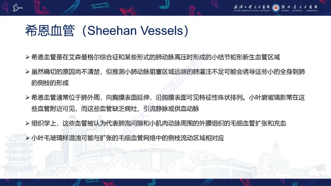 影像PPT - 【PPT】肺动静脉畸形CT诊断-33
