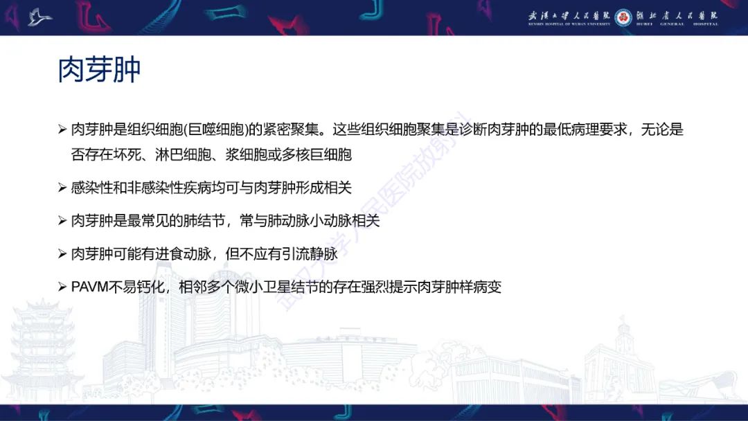 影像PPT - 【PPT】肺动静脉畸形CT诊断-40