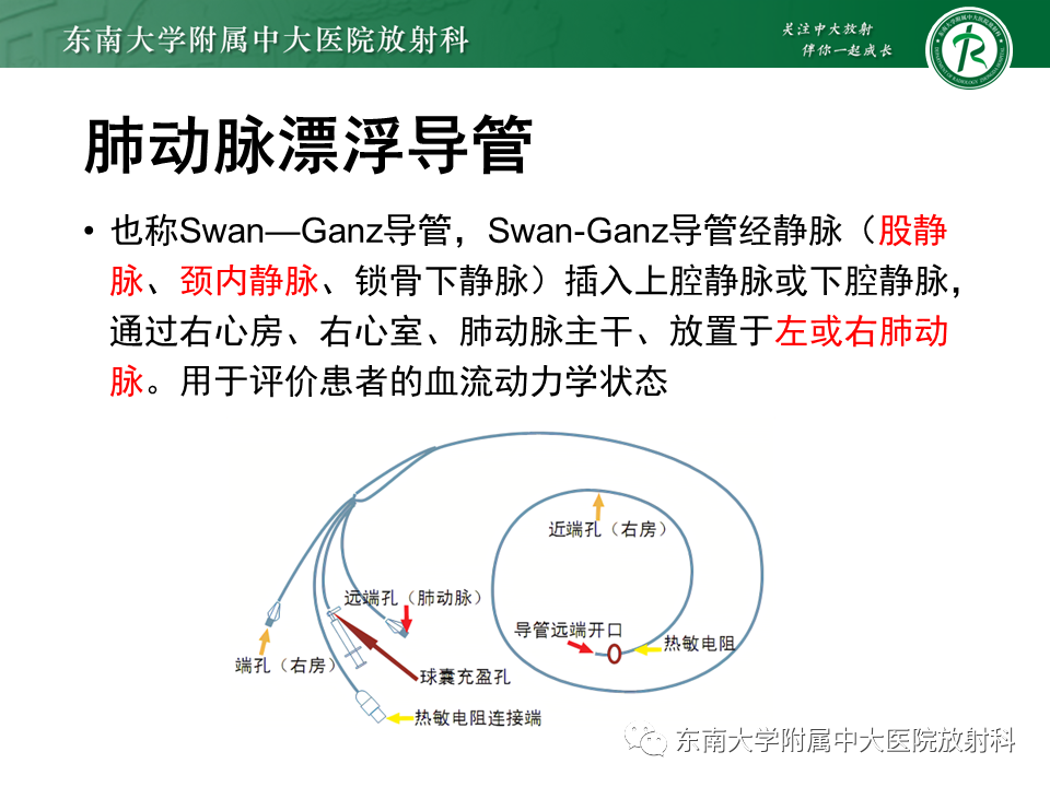 影像PPT - 【PPT】体内常见置管位置影像评估-42