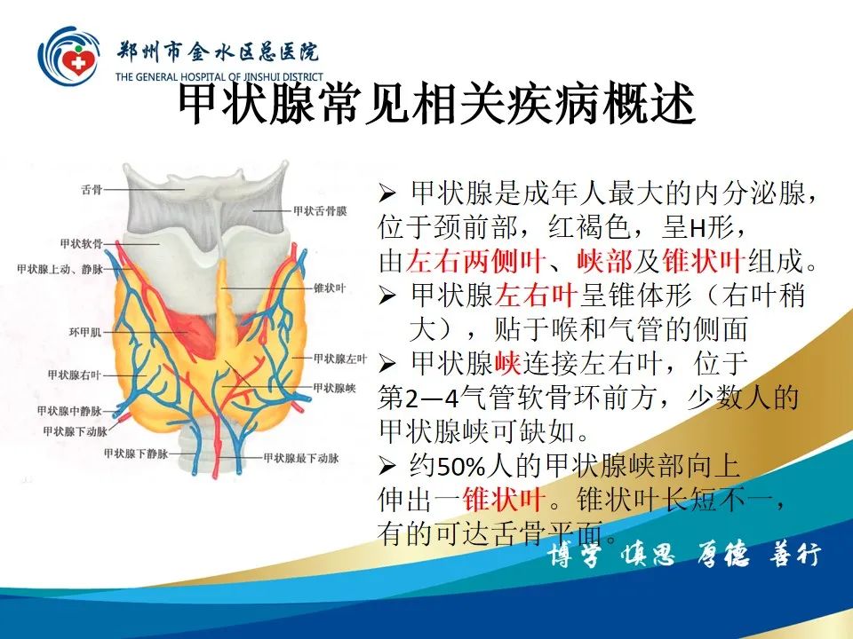 影像PPT - 【PPT】甲状腺常见相关疾病的影像诊断-15