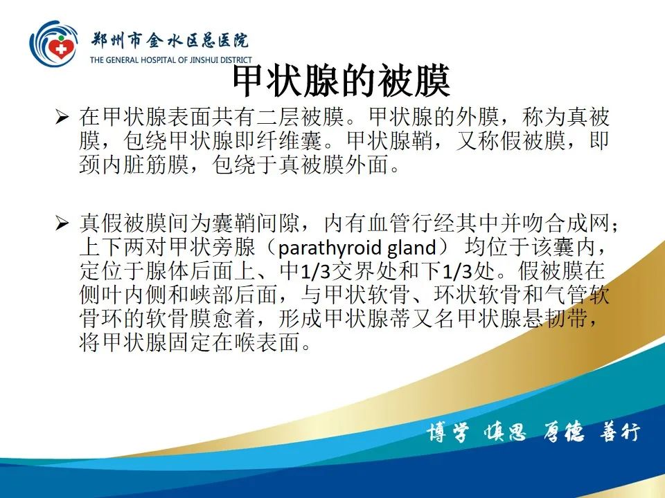 影像PPT - 【PPT】甲状腺常见相关疾病的影像诊断-16