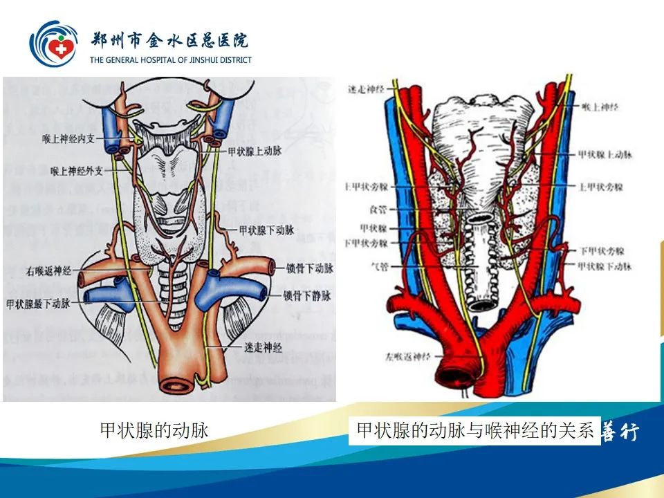 影像PPT - 【PPT】甲状腺常见相关疾病的影像诊断-18