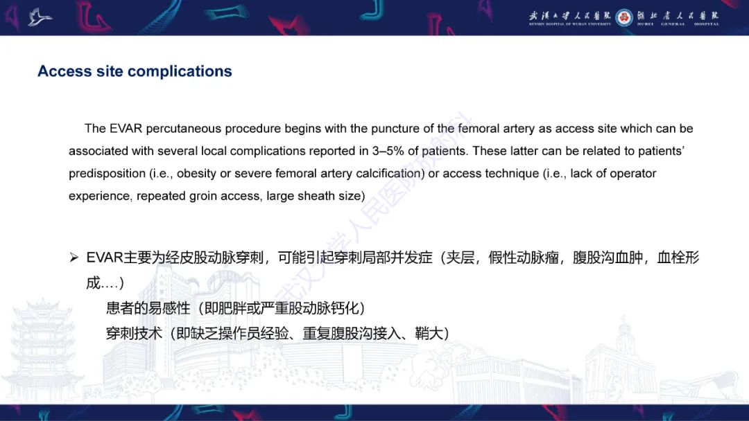 影像PPT - 【PPT】腹主动脉瘤EVAR术后并发症CT评估-7