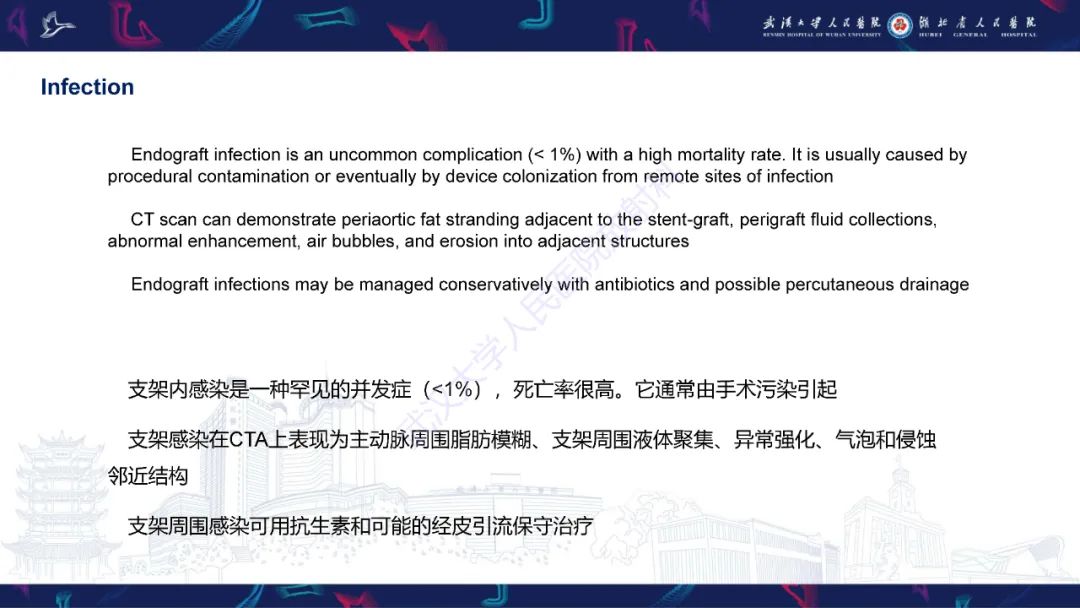 影像PPT - 【PPT】腹主动脉瘤EVAR术后并发症CT评估-9