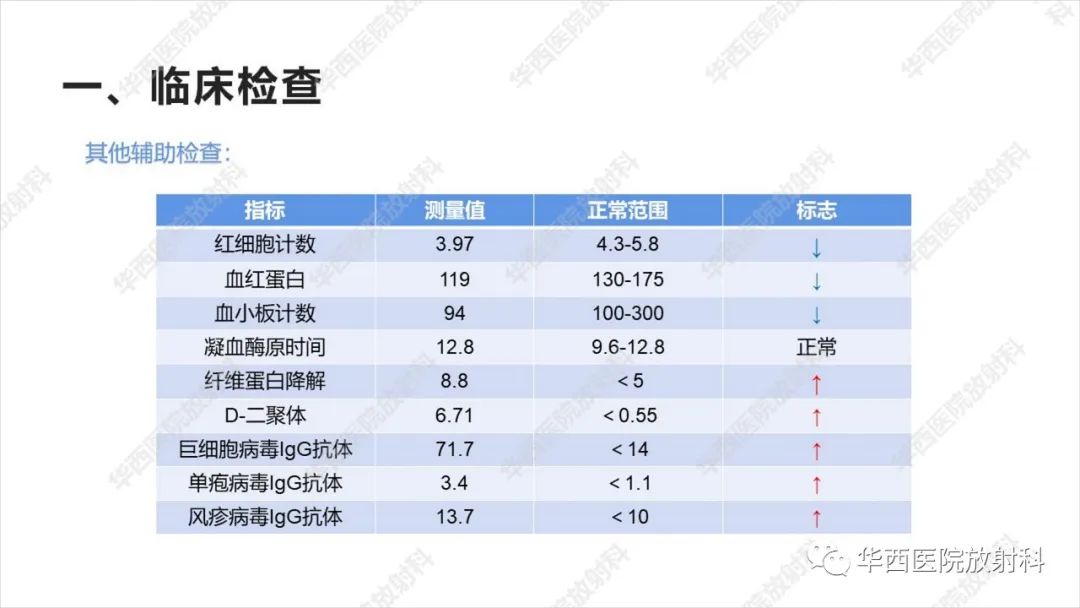 影像PPT - 【病例】出血坏死性病毒脑膜脑炎1例CT及MR影像学表现和鉴别诊断-3