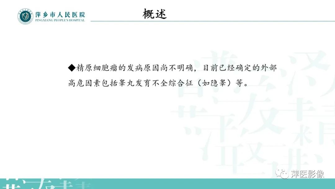 影像PPT - 【PPT】睾丸精原细胞瘤-4