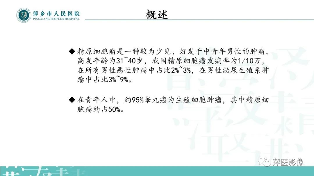 影像PPT - 【PPT】睾丸精原细胞瘤-3