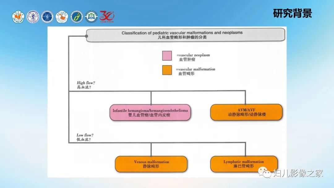 影像PPT - 【PPT】Disco成像技术在儿童血管瘤及脉管畸形的应用价值-6