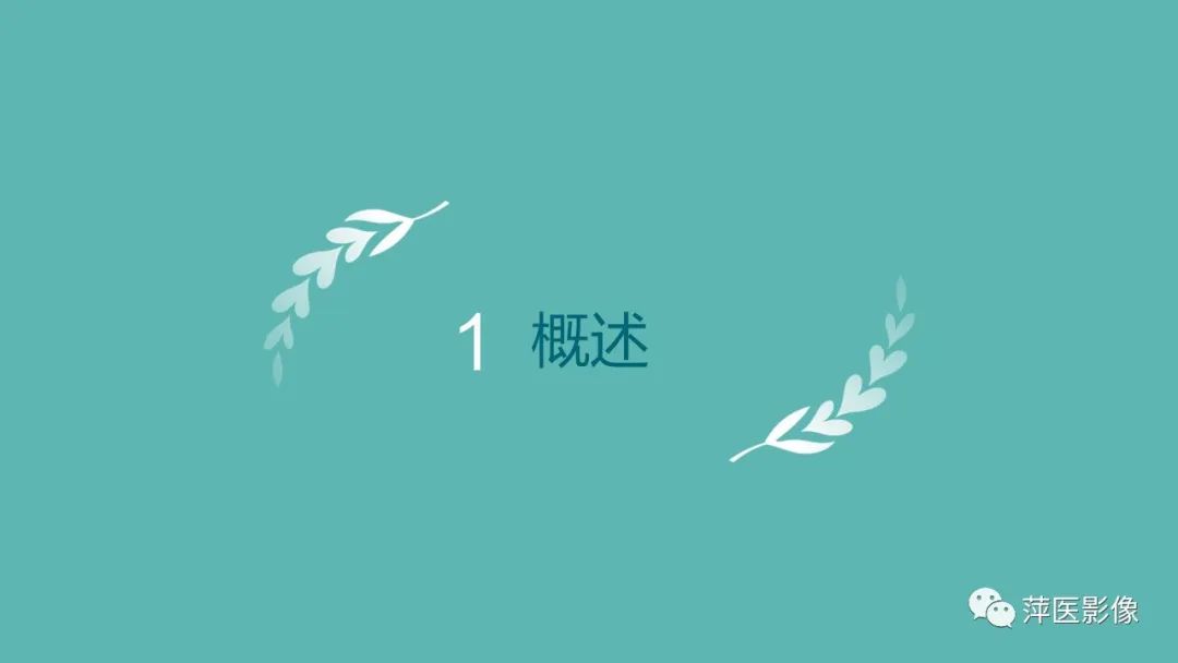 影像PPT - 【PPT】卵巢甲状腺肿-3