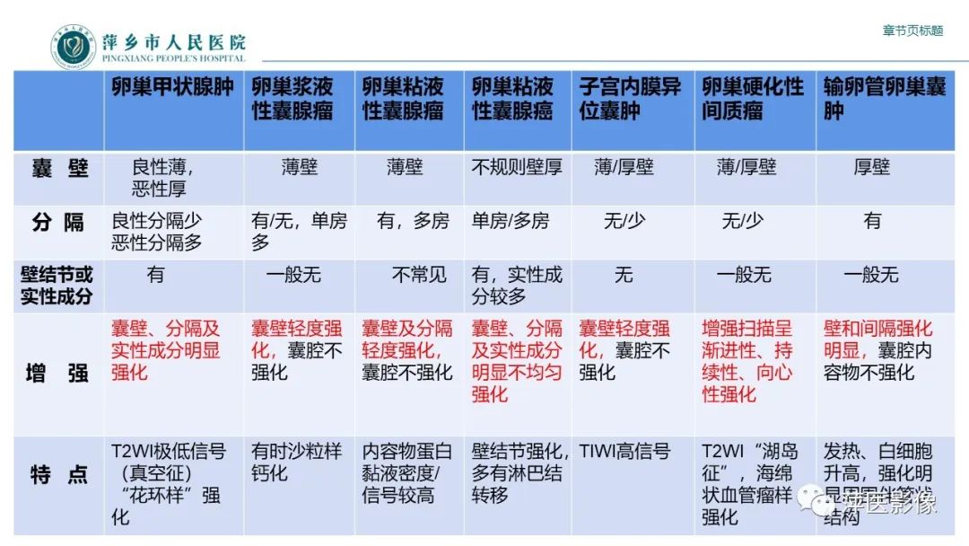 影像PPT - 【PPT】卵巢甲状腺肿-24