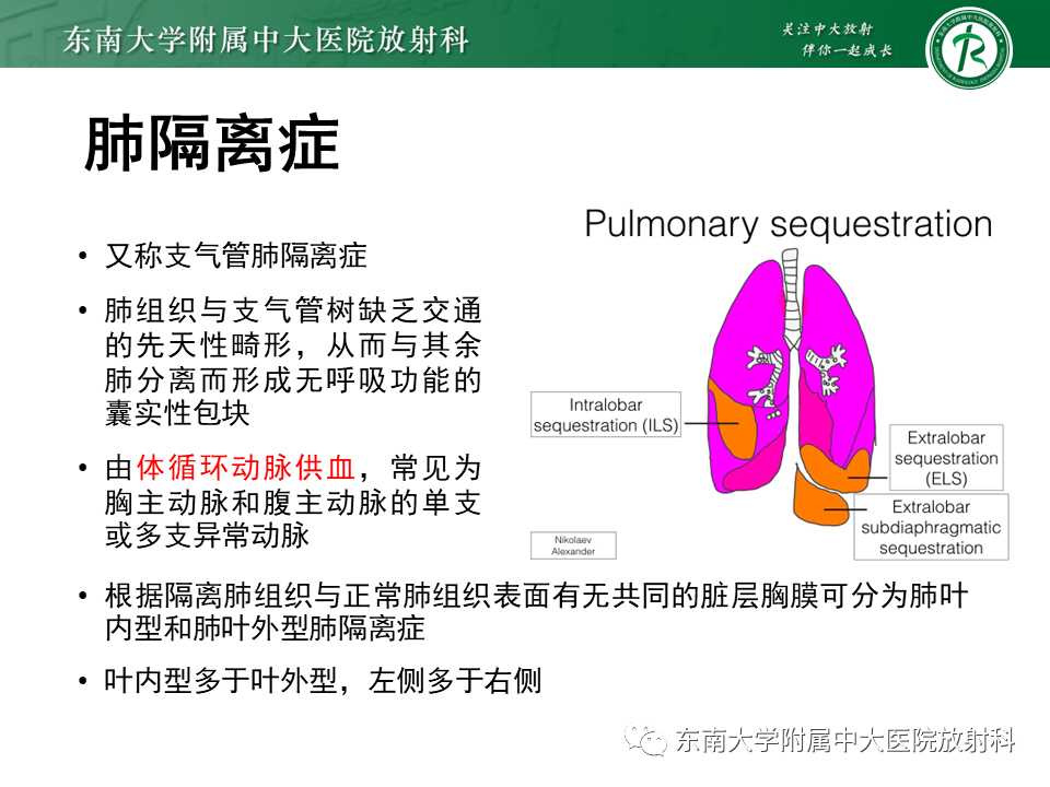 影像PPT - 【PPT】体循环供血左肺下叶-15