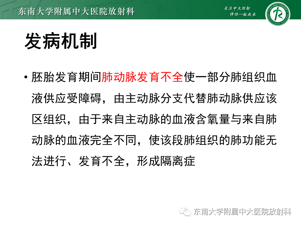 影像PPT - 【PPT】体循环供血左肺下叶-16