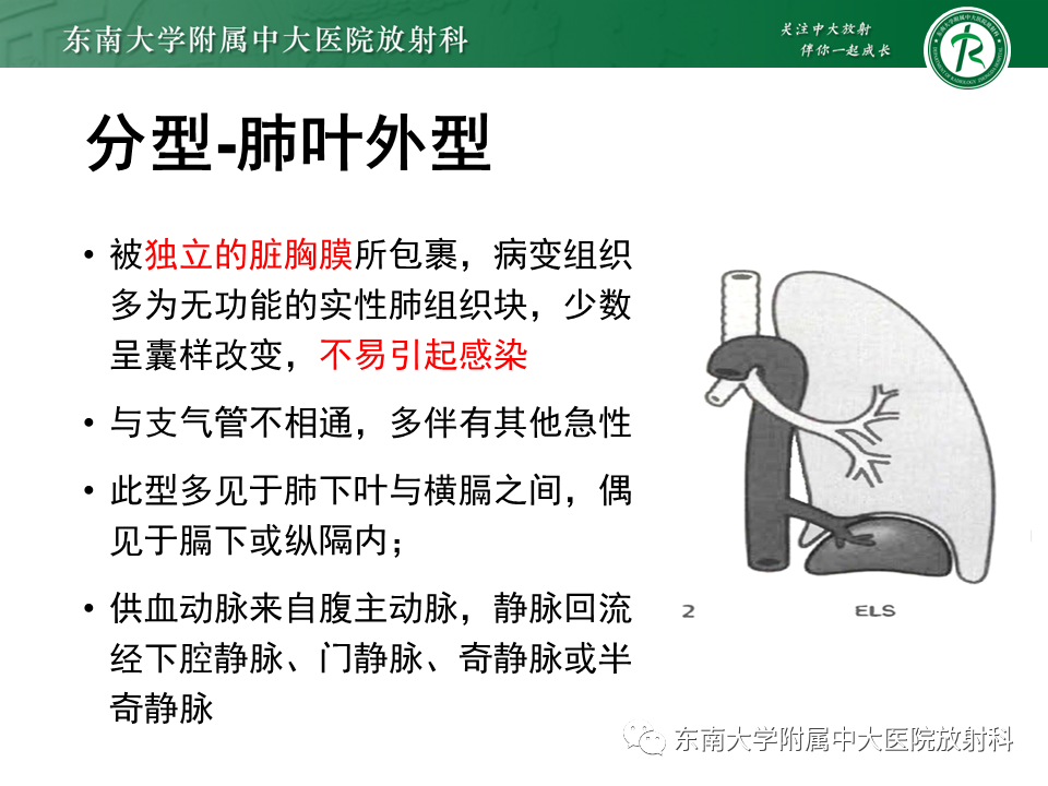 影像PPT - 【PPT】体循环供血左肺下叶-19
