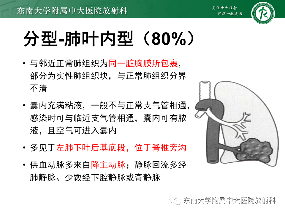 影像PPT - 【PPT】体循环供血左肺下叶-18