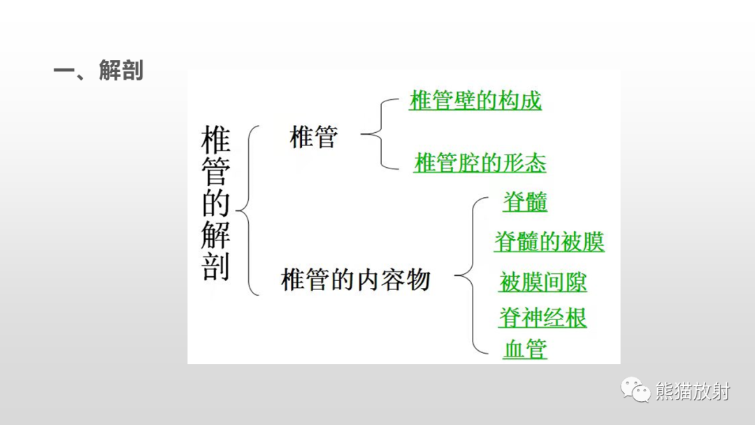 影像PPT - 【病例】脊膜瘤2例MR影像-10