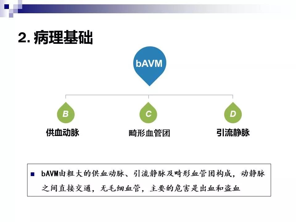 影像PPT - 各类脑血管畸形的病理基础、临床、影像学表现-5
