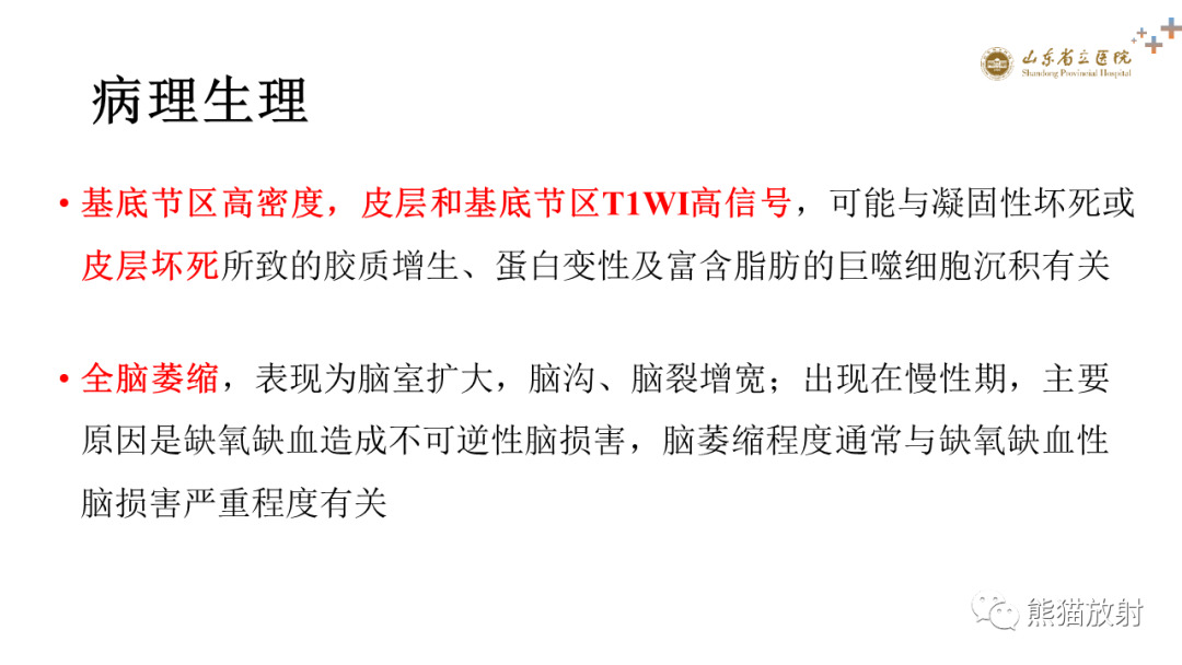 影像PPT - 【PPT】成人缺氧缺血性脑病影像学表现-5
