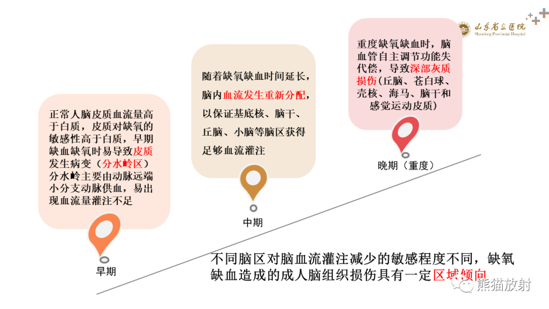 影像PPT - 【PPT】成人缺氧缺血性脑病影像学表现-4