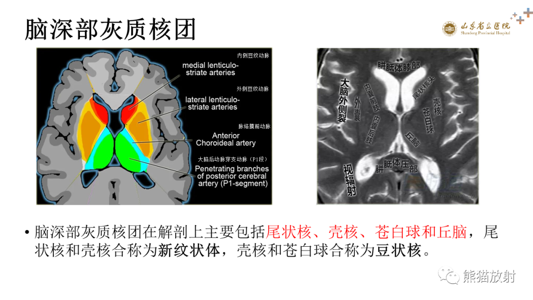 影像PPT - 【PPT】成人缺氧缺血性脑病影像学表现-6