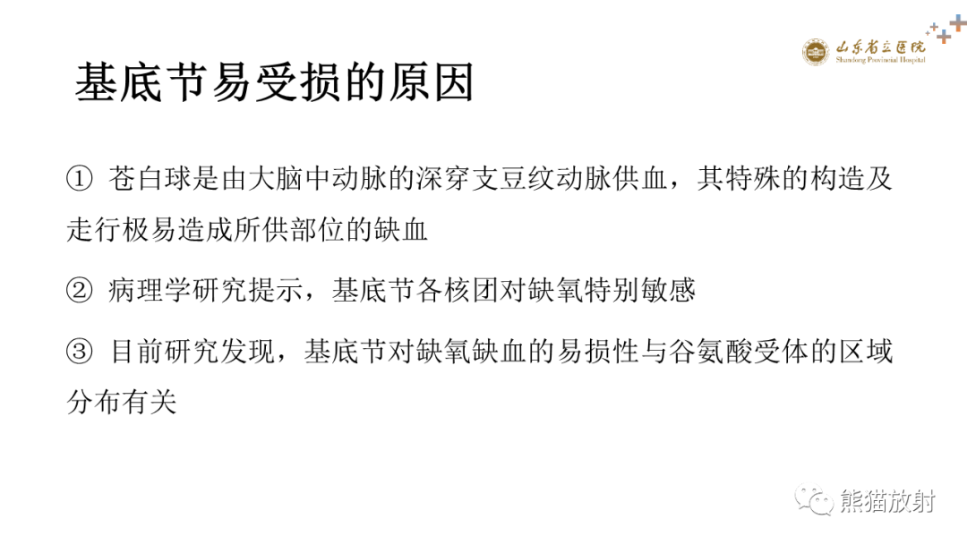 影像PPT - 【PPT】成人缺氧缺血性脑病影像学表现-7