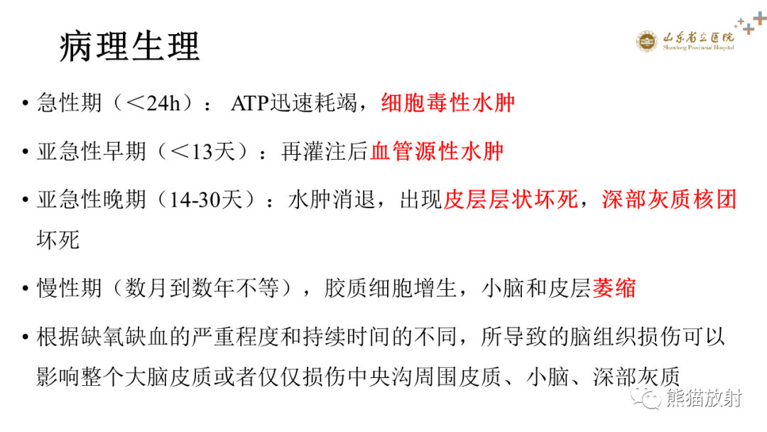 影像PPT - 【PPT】成人缺氧缺血性脑病影像学表现-8