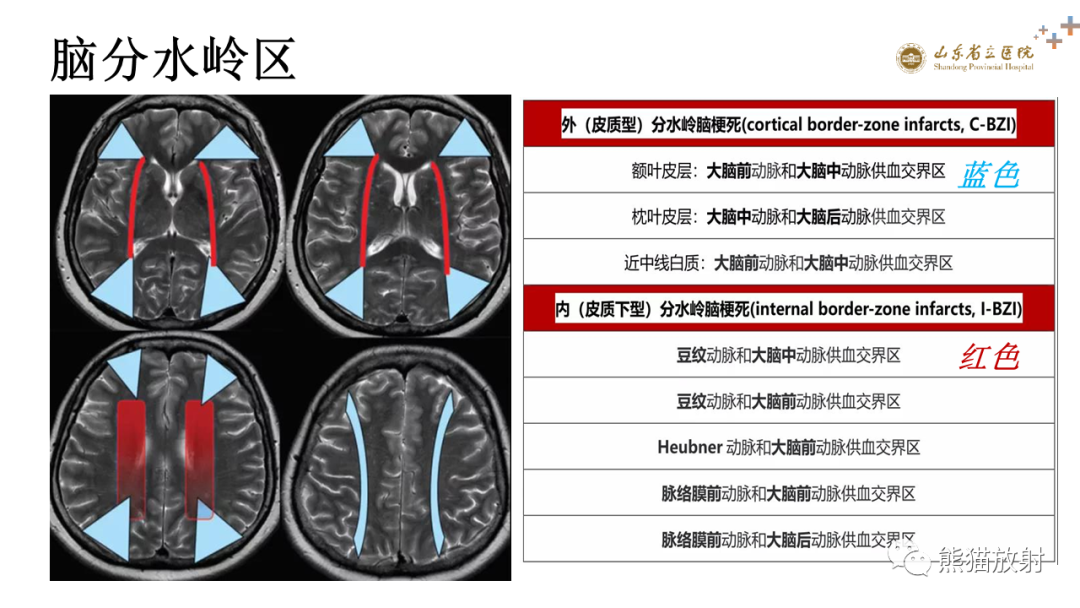 影像PPT - 【PPT】成人缺氧缺血性脑病影像学表现-16