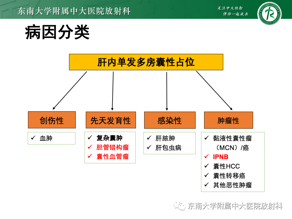 影像PPT - 【PPT】肝内多房囊性占位病例随访-13