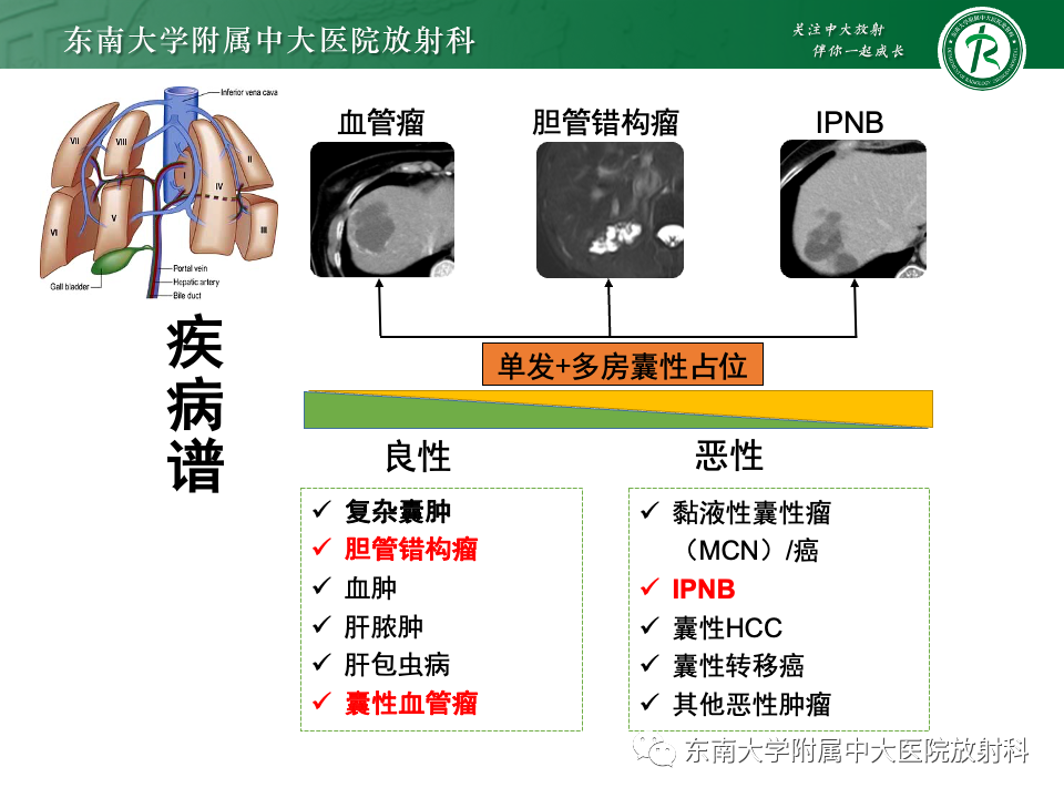影像PPT - 【PPT】肝内多房囊性占位病例随访-12