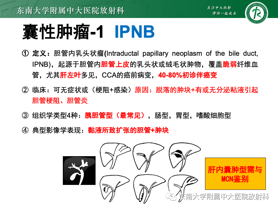 影像PPT - 【PPT】肝内多房囊性占位病例随访-28