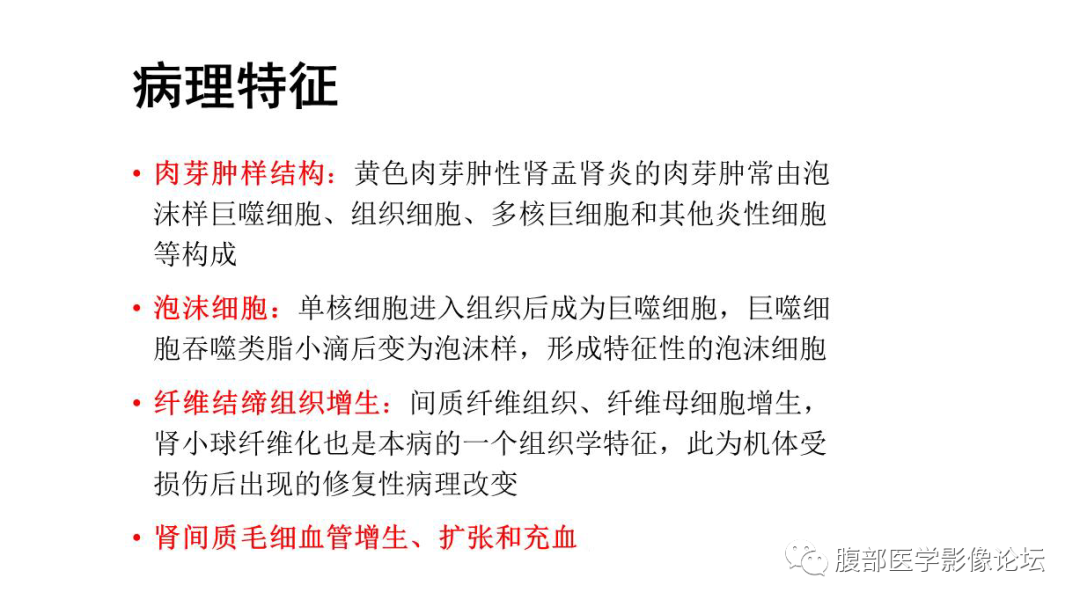 影像PPT - 【病例】肾脏黄色肉芽肿性肾盂肾炎1例CT及MR影像诊断-18