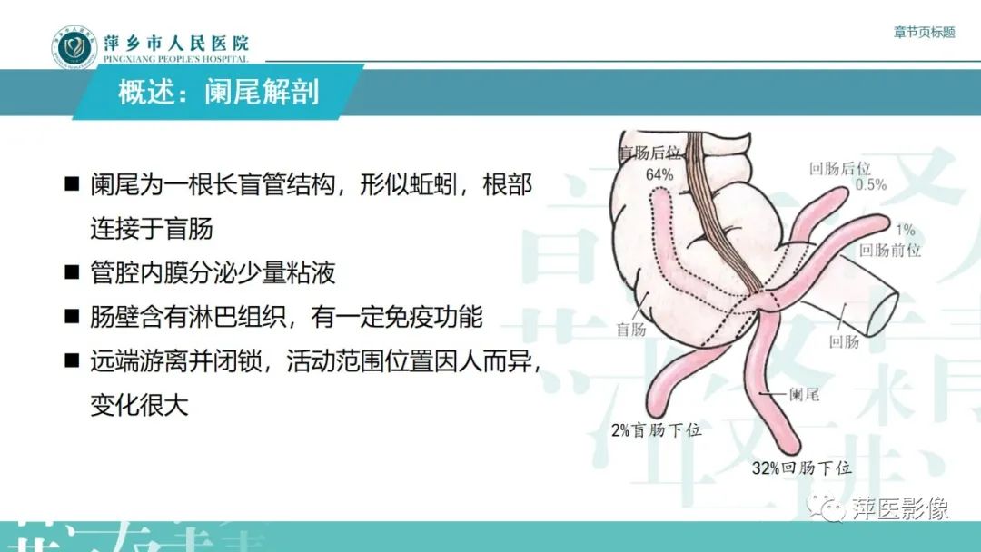 影像PPT - 【PPT】阑尾低级别黏液性肿瘤的CT诊断-8