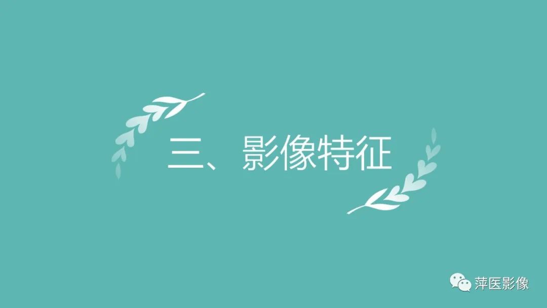 影像PPT - 【PPT】阑尾低级别黏液性肿瘤的CT诊断-13
