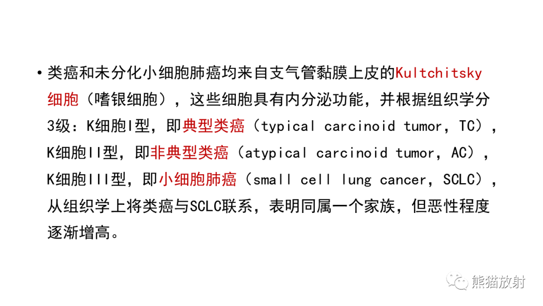 影像PPT - 【病例】肺神经内分泌肿瘤2例CT影像-18