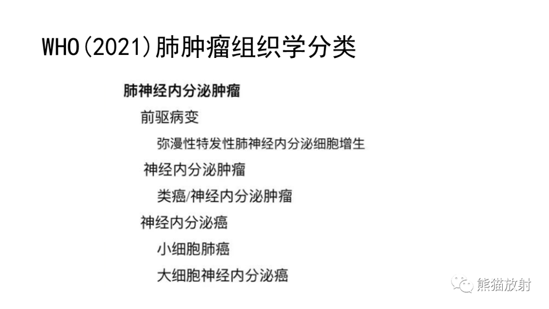 影像PPT - 【病例】肺神经内分泌肿瘤2例CT影像-19