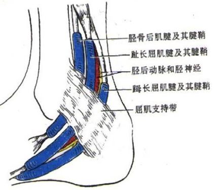 影像PPT - 踝关节MRI解剖及7种常见损伤类型影像表现-31 影像PPT - 踝关节MRI解剖及7种常见损伤类型影像表现-31