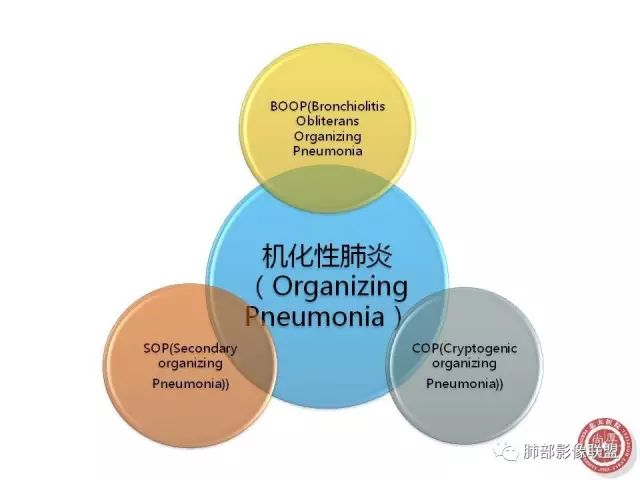 影像PPT - 【病例】隐源性机化性肺炎1例-25 影像PPT - 【病例】隐源性机化性肺炎1例-25