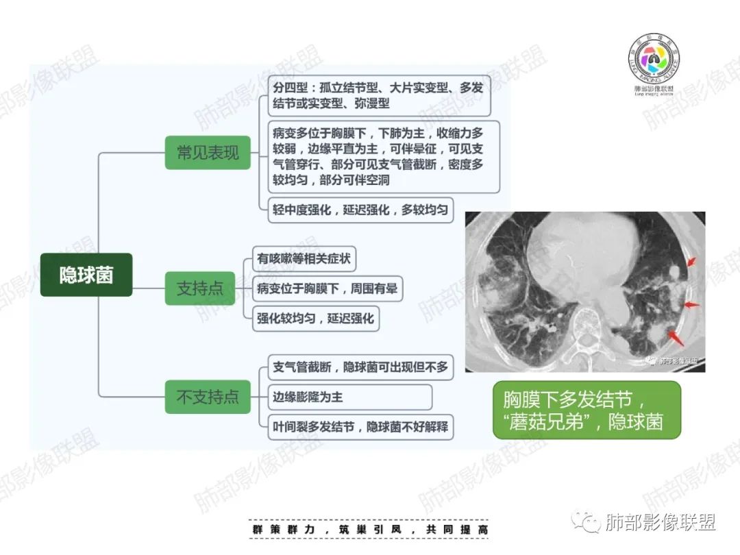 影像PPT - 【病例】中年女性的肺部富血供占位-24 影像PPT - 【病例】中年女性的肺部富血供占位-24