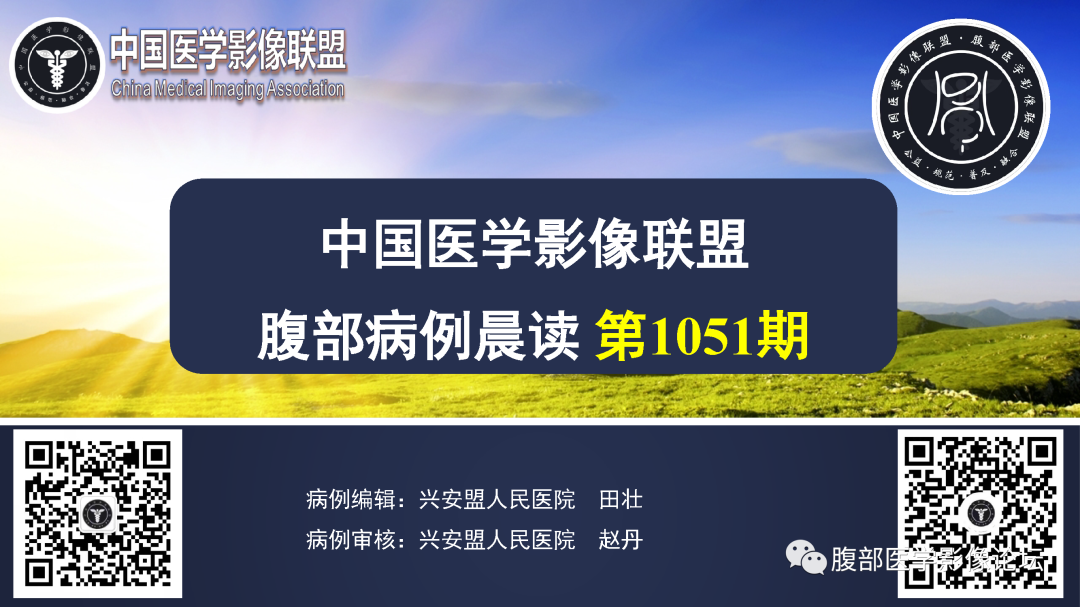 影像PPT - 【病例】巨细胞动脉炎累及肾脏1例CT影像-1