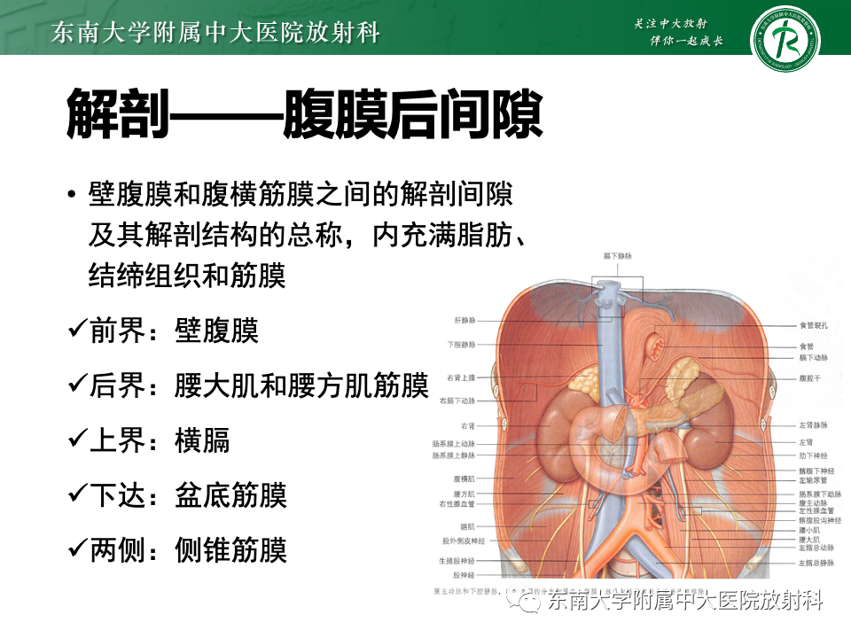 影像PPT - 【PPT】腹膜后平滑肌肉瘤-7