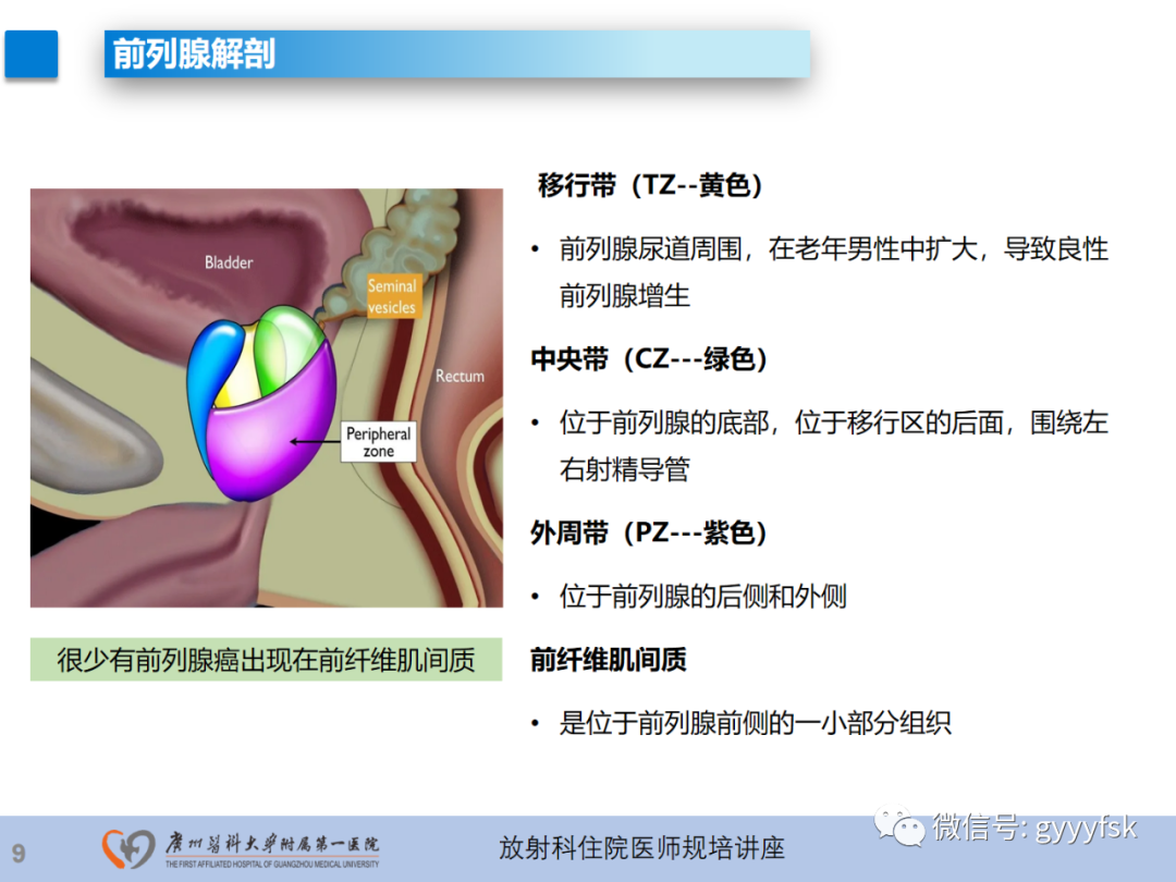 影像PPT - 【PPT】前列腺癌的MR扫描规范及精准诊断-10