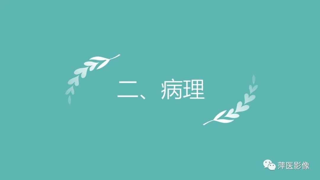 影像PPT - 【PPT】肝脏局灶性结节性增生(FNH)-5