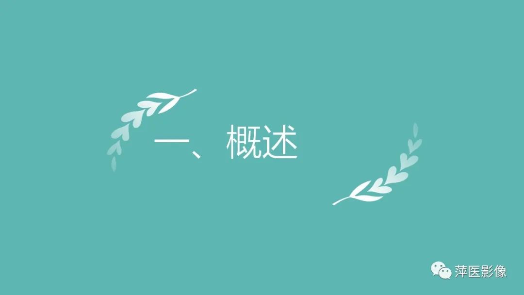 影像PPT - 【PPT】肝脏局灶性结节性增生(FNH)-3