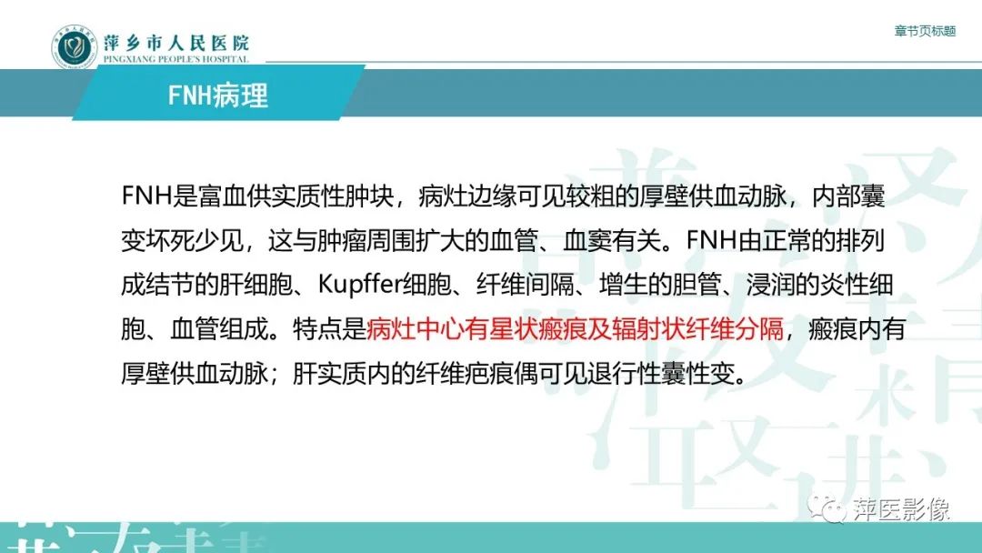 影像PPT - 【PPT】肝脏局灶性结节性增生(FNH)-6
