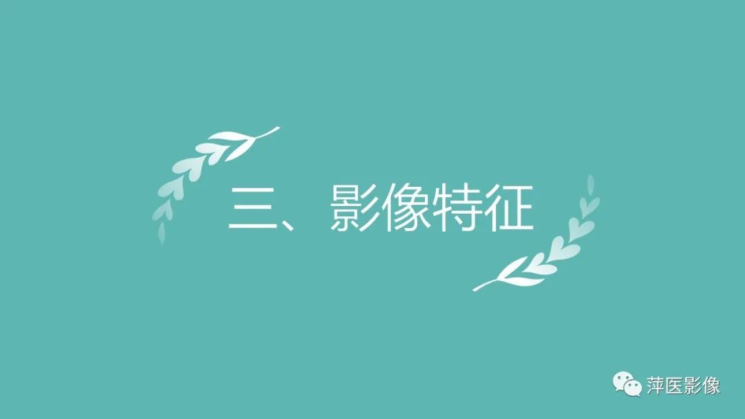 影像PPT - 【PPT】肝脏局灶性结节性增生(FNH)-12