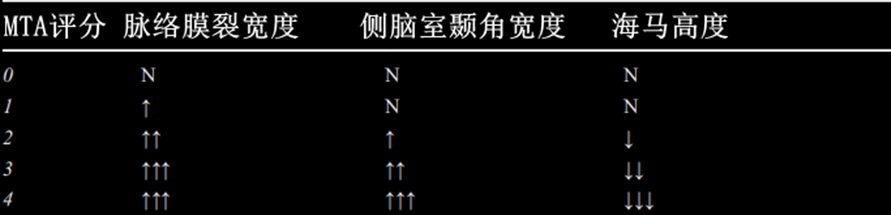 影像PPT - 海马MRI该如何扫描-8 影像PPT - 海马MRI该如何扫描-8
