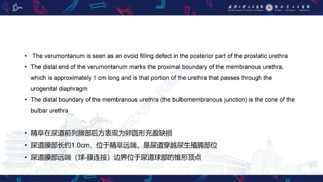 影像PPT - 【PPT】尿道造影疾病诊断-8